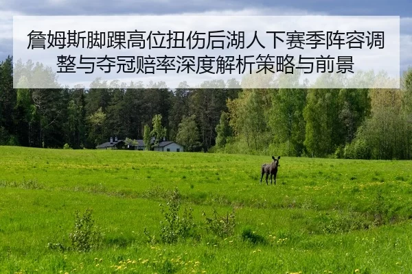 zhan-mu-si-jiao-huai-gao-wei-niu-shang-hou-hu-ren-xia-sai-ji-zhen-rong-tiao-zheng-yu-duo-guan-pei-lv-shen-du-jie-xi-ce-2-626.jpg