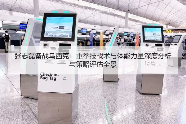 张志磊备战乌西克：重拳技战术与体能力量深度分析与策略评估全景