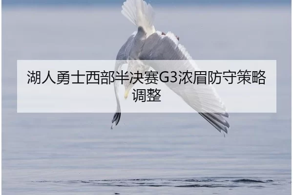湖人勇士西部半决赛G3浓眉防守策略调整